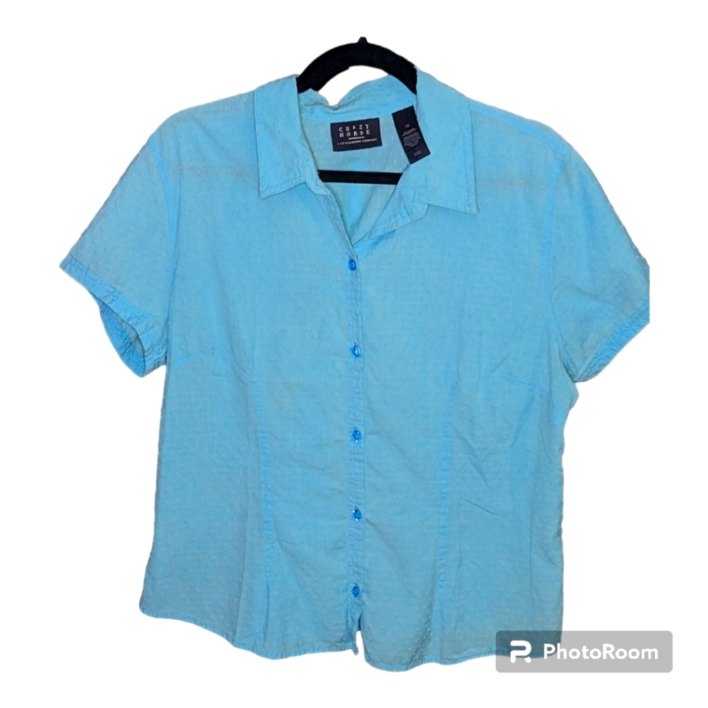 Crazy Horse swiss dot button down